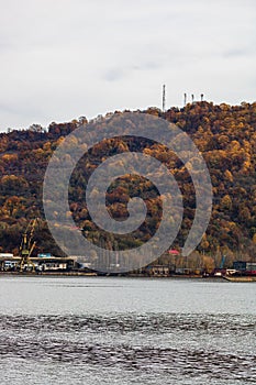 View of Danube river and Orsova city vegetation and buildings, waterfront view. Orsova, Romania, 2021