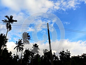 View of darkness coconut trees with beautiful blue sky and white cloud background. electric pole with wires.