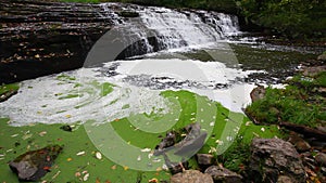 View of Darnley Grist Mill Falls in Ontario, Canada