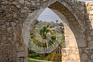 view of the date grove from the window of the old castle 1