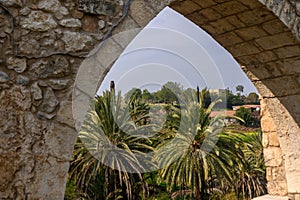 view of the date grove from the window of the old castle 3