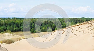 View of Dead Dunes, Nida, Klaipeda, Lithuania