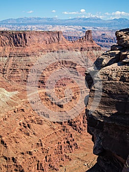 View from Dead Horse Point