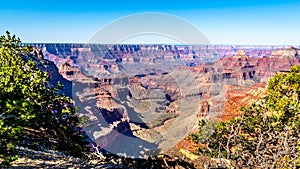 View of a deep canyon at Cape Royal on the North Rim of the Grand Canyon