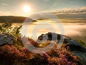 View into deep misty valley over tufts of heather. Hill peaks in creamy fog