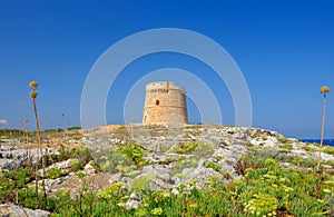 View on the Defense Tower Alcaufar on Menorca photo