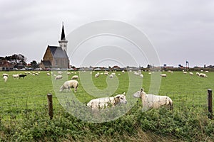 View on Den Hoorn, a little community on Texel, a Wadden island, the Netherlands.