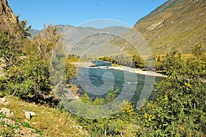 View through dense bushes to the bed of a swift mountain river flowing along the bottom of a deep canyon surrounded by high