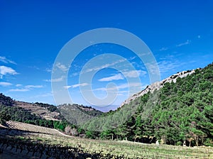 View of Dentelles de Montmirail in the Vaucluse