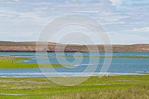 View of the Deseado river from the south coast