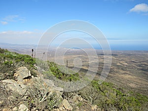 View of the desert and dunes