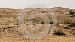 View of the desert landscape