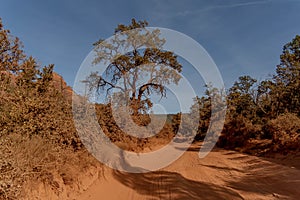 View Of A Desert Landscape With A Curvy Road Running Through It In The American Southwest