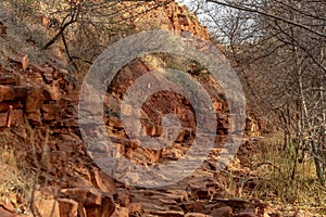 View Of A Desert Landscape With A Curvy Road Running Through It In The American Southwest