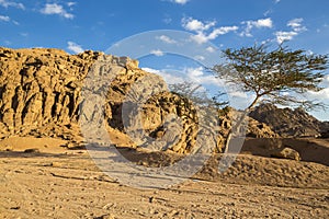 View of desert mountain landscape