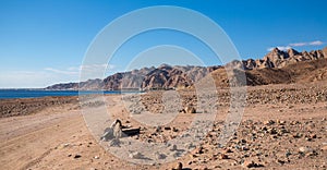 View of desert mountain landscape