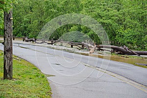 View the Destruction from the Roanoke River, Roanoke, Virginia, USA