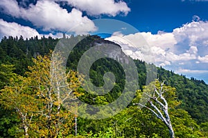 View of Devils Courthouse, on the Blue Ridge Parkway in North Ca