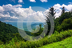 View from Devils Courthouse Overlook, on the Blue Ridge Parkway