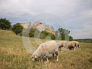 Devin Castle in Slovakia