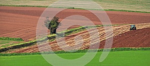 View of Devon fields at the end of summer