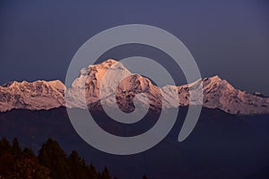 View of Dhaulagiri & Tukche peaks at dawn from summit of Poon Hill, Nepal