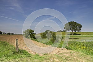 View at a dike