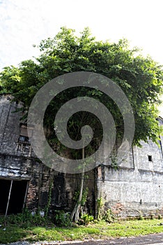 View of dilapidated and abandoned tin mining town of Papan in the outskirts of the city of Pusing, Perak, Malaysia