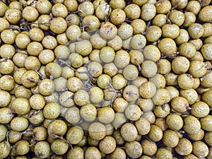 A view of dimocarpus longan fruit (kelengkeng)