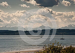 View from Discovery Park