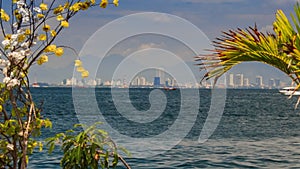 view of distant resort city across sea through blossom branches