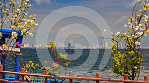 view of distant resort city across sea through blossom branches