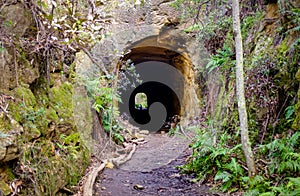 View into disused tramway tunnel on Box Vale walking track Mittagong NSW Australia