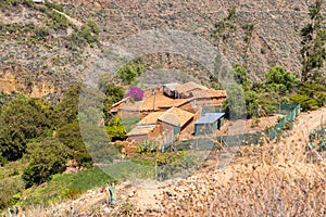 View of diverse vegetation, farms, hills and some adobe houses in the morning