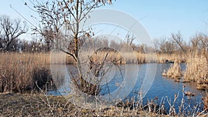 View of the Dnieper River in the early spring, Ukraine, Kherson