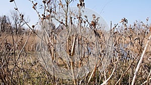 View of the Dnieper River in the early spring, Ukraine, Kherson