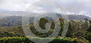 View from Doddabetta Peak. The marvellous views of the sweeping forests of Bandipur National Park.