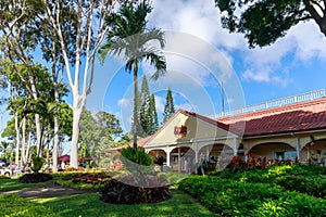 View of the Dole Pineapple Plantation in Wahiawa, Tour destination