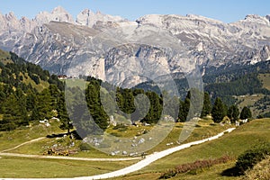 View Dolomites Passo Sella, Italy