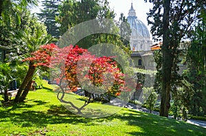 View of the dome of the Cathedral of St. Peter in the Vatican from the gardens