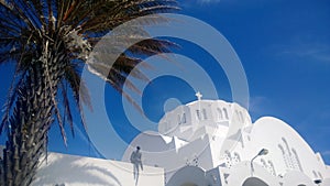 View of the dome of the Orthodox Metropolitan Cathedral of Fira town in Santorini. With a palm tree in the foreground.