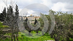 View of the Dome of the Rock from Mount of Olives