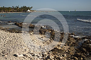 View of the Dominicus coast 6 photo