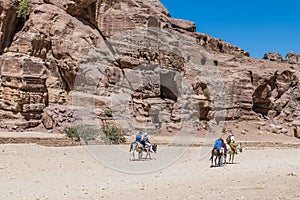 A view of donkey transport in the ancient city of Petra, Jordan