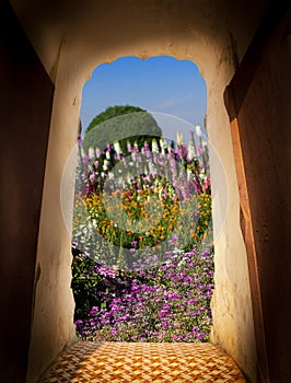 View from door of castle. Scenery view of beautiful flower in the garden