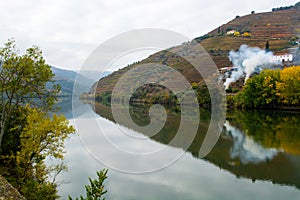 View on Douro river with reflection in water of colorful hilly stair step terraced vineyards in autumn, wine making industry in