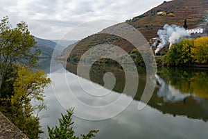 View on Douro river with reflection in water of colorful hilly stair step terraced vineyards in autumn, wine making industry in