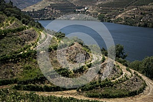 A view of the Douro River with vineyards, Douro Valley, Portugal.