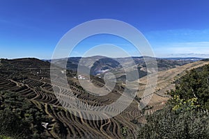 View of Douro Valley with the Pinhao village, terraced vineyards and the Douro River, in Portugal