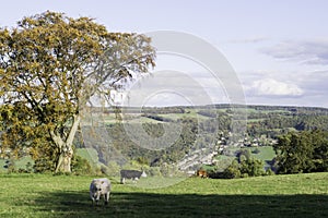 View of Dovedale from Stanton Moor